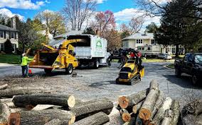 Best Artificial Turf Installation  in Glens Falls, NY